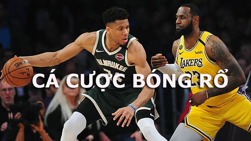 Tìm hiểu về cá cược bóng rổ tại Gwin
