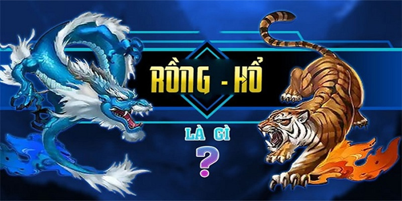 Rồng Hổ Gwin Là Gì? Những Điều Cơ Bản Bạn Cần Biết