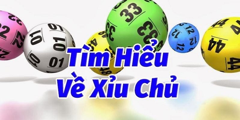 Cách Bắt Xỉu Chủ Chuẩn Xác Cho Người Mới